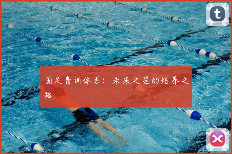 国足青训体系:未来之星的培养之路